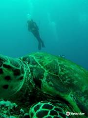 Black Rock Dive Centre