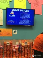 Sky Zone Trampoline Park