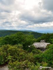 The Channels Natural Area Preserve