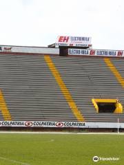 Estadio Guillermo Plazas Alcid