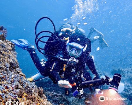 香港-加萊拉港 機票酒店 自由行