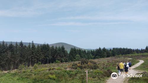 Beacon Fell Country Park