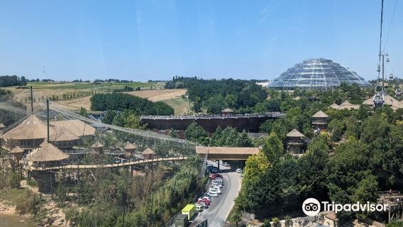 ZooParc de Beauval