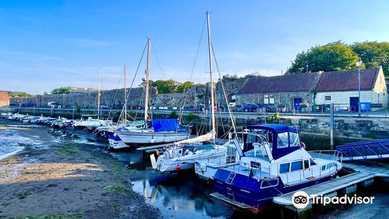 St Andrews Harbour Trust
