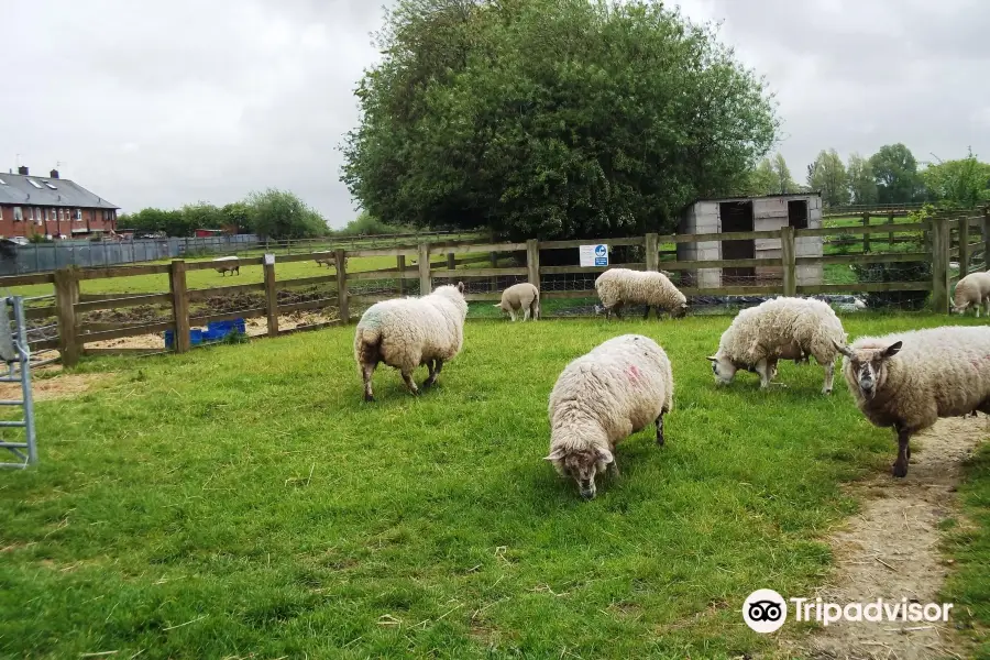 East Hull Community Farm