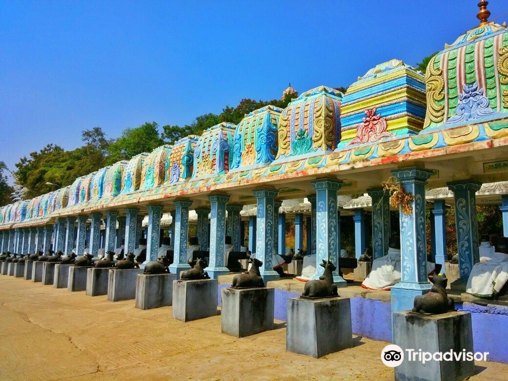 1008 Shiva & Rajarajeshwari temple ..