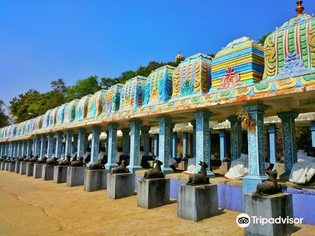 1008 Shiva & Rajarajeshwari temple ..