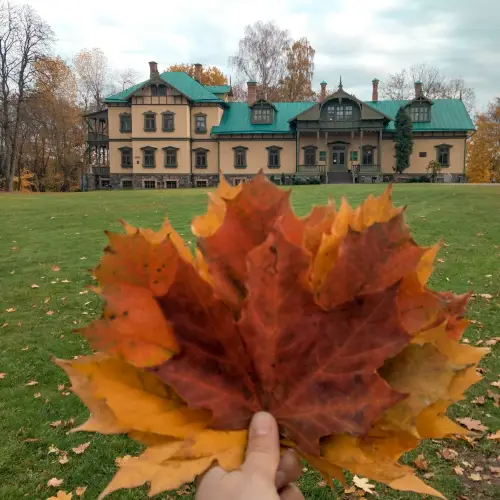 Loshitskiy Park