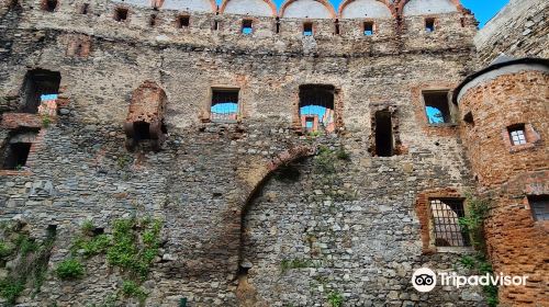 Ruins of Ducal Castle in Zabkowice Slaskie