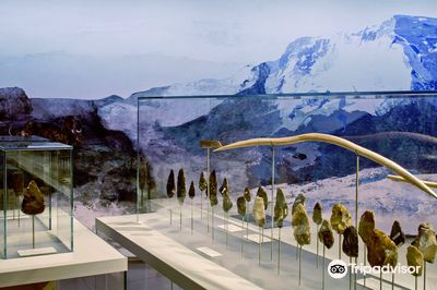 State Museum of Archaeology Chemnitz