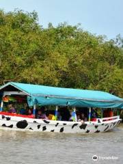 Mangrove Wonorejo Ecotourism