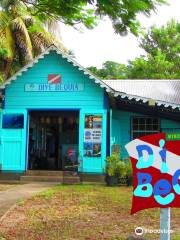 Dive Bequia