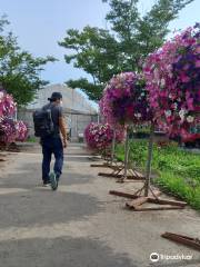 World Flower Botanical Garden (Asan Botanical Garden)