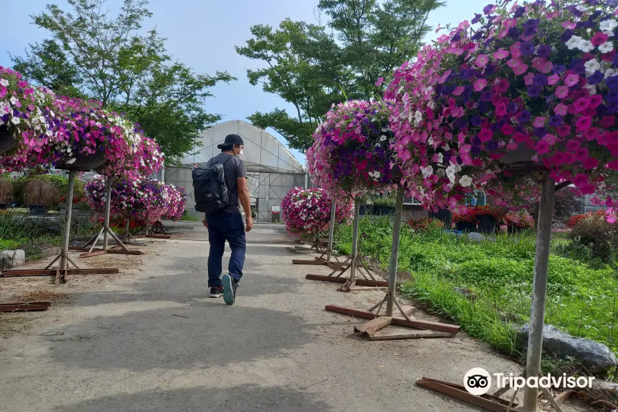 世界花卉植物園