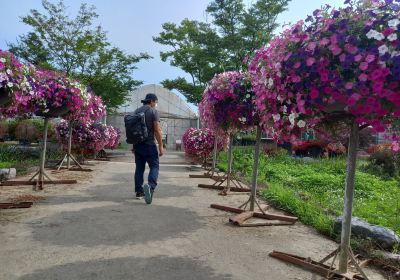 世界花卉植物園