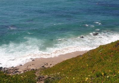 Praia da Aroeira