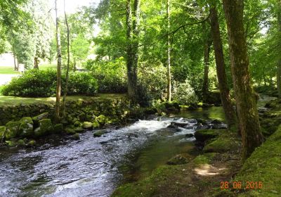 Baumwipfelpfad Schwarzwald