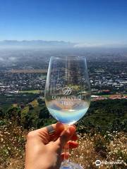 Durbanville Hills Table Mountain Wine Safari