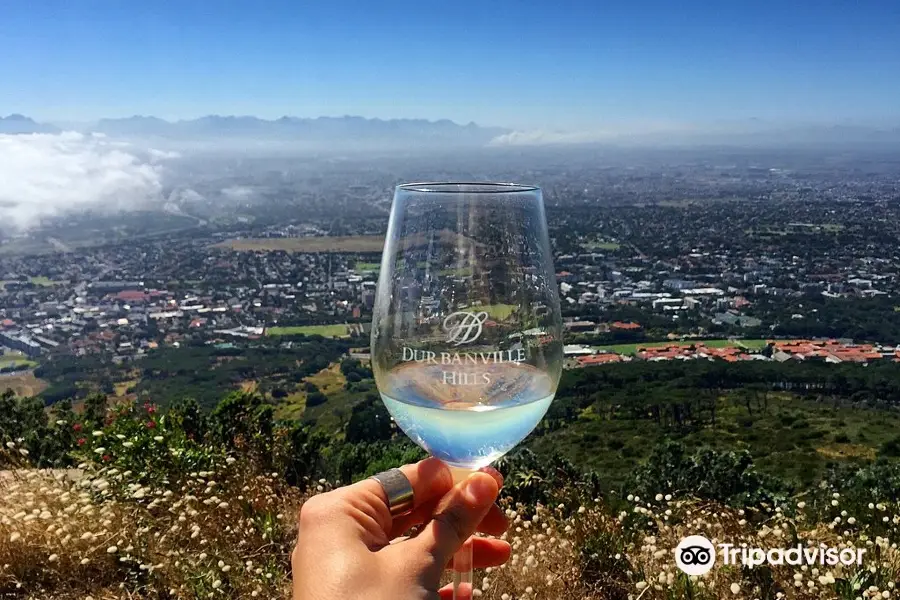 Durbanville Hills Table Mountain Wine Safari