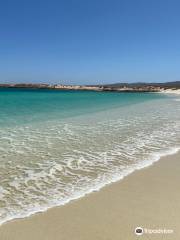 Ningaloo Coast World Heritage Area