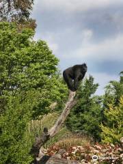 Izmir Wildlife Park