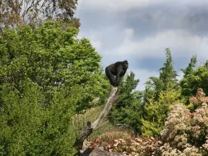 Izmir Wildlife Park