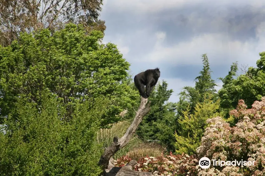 Izmir Wildlife Park