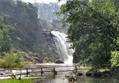 Mantenga Nature Reserve