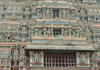 Sri Tenkasi Kasi Viswanathar Temple