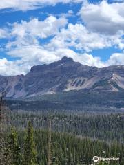 Uinta National Forest