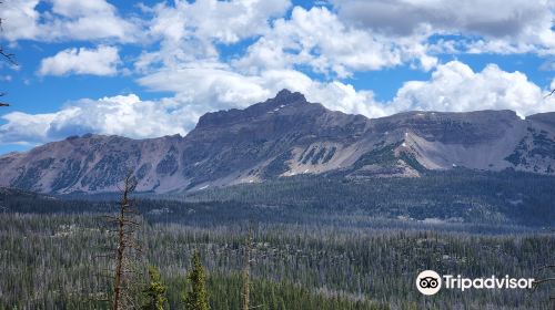 Uinta National Forest