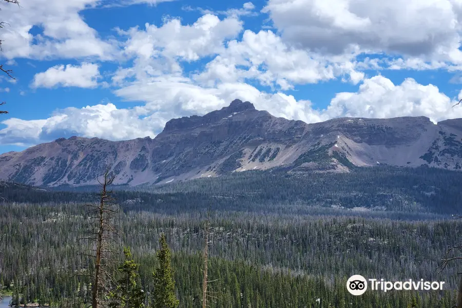 Uinta National Forest