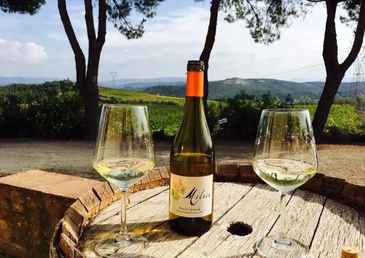 Hotels in Castel San Gimignano