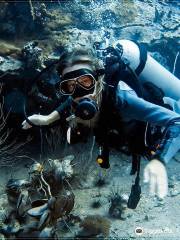 Scuba Birds International Dive Center