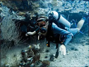 Scuba Birds International Dive Center
