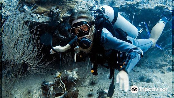 Scuba Birds International Dive Center