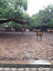 Sanjay Gandhi Biological Park