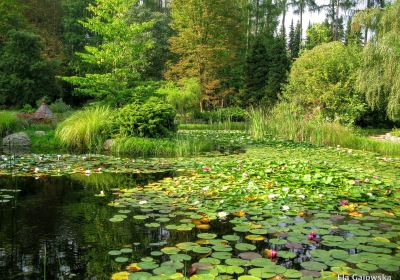 Arboretum SGGW w Rogowie