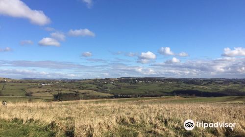 Baildon Moor