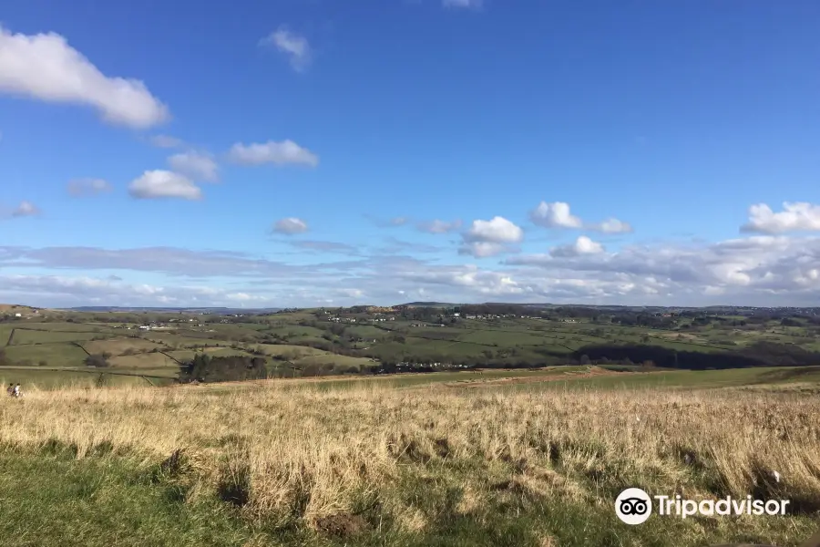 Baildon Moor