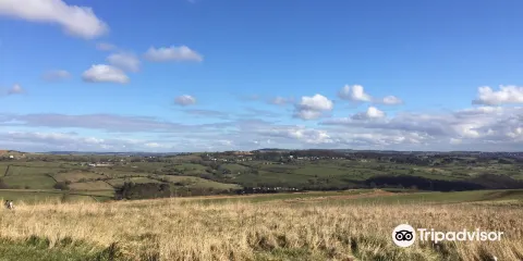 Baildon Moor