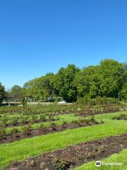 Lake Harriet Rose Garden