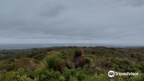 Hillview Road Lookout