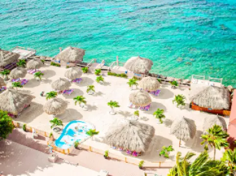 เกาะปาล์ม