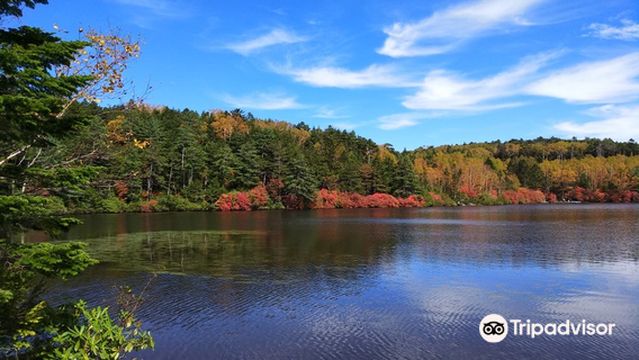 Shirakoma Pond