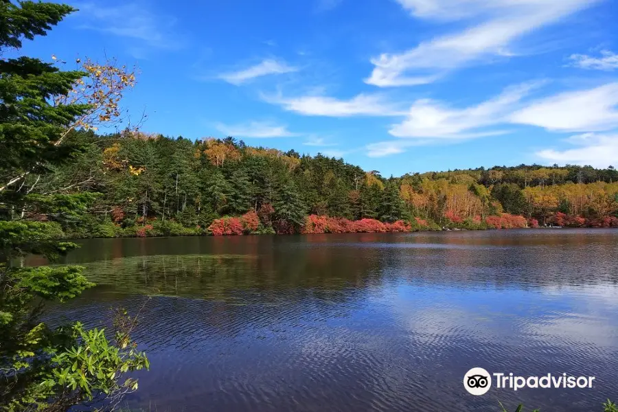 Shirakoma Pond