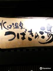 水口温泉つばきの湯