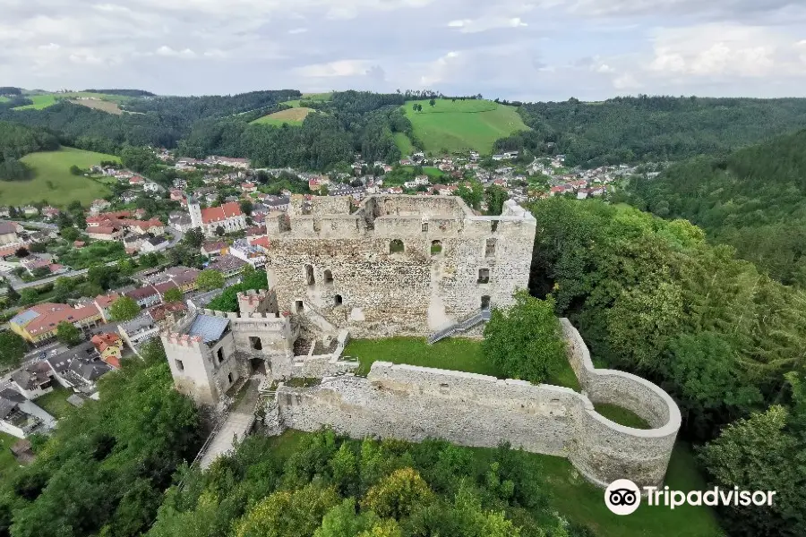 Burgruine Kirchschlag