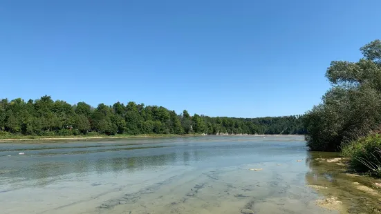 Falls Reserve Conservation Area