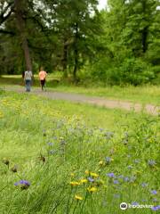 Nix Creek Trail